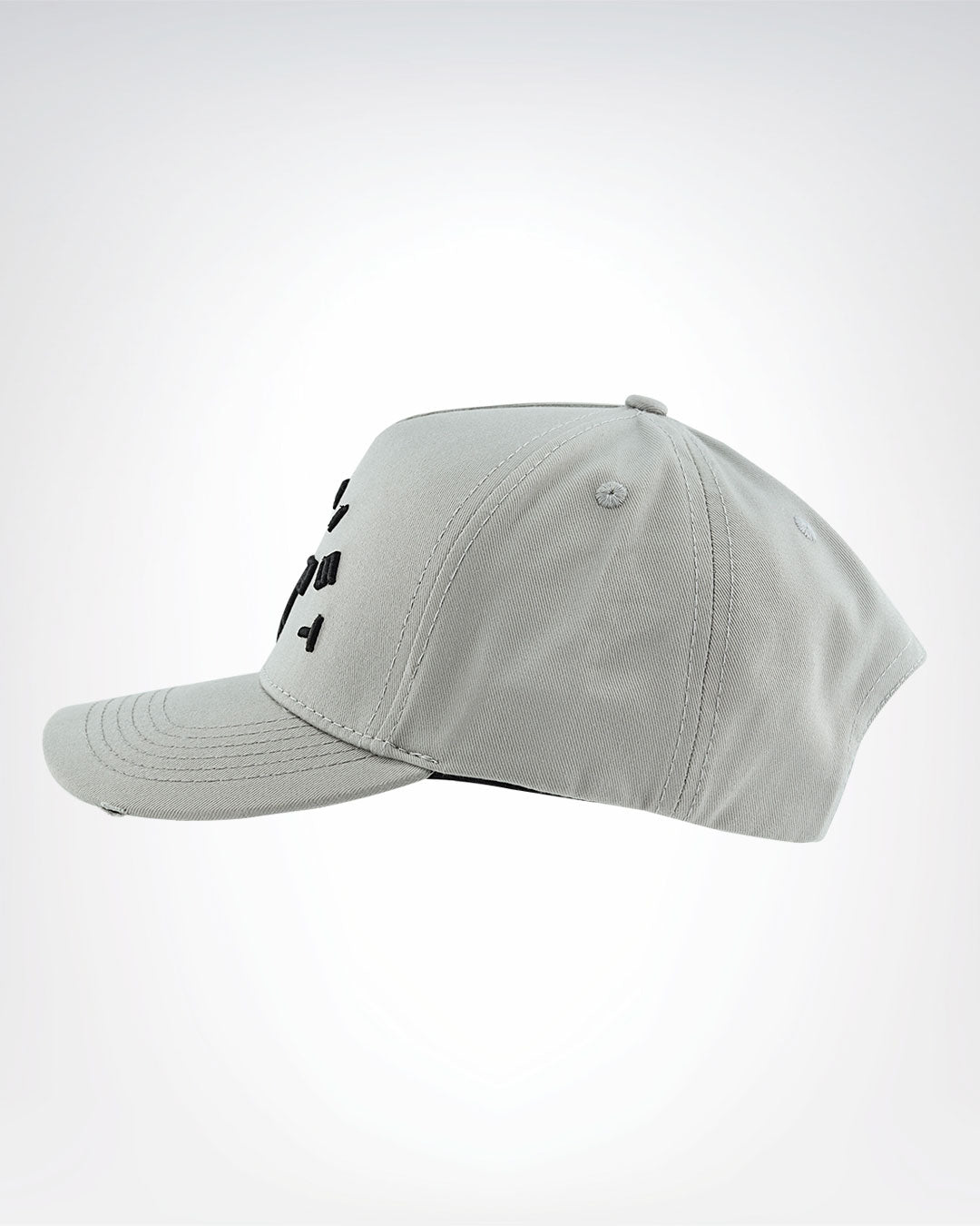 CANVA GRAY CAP