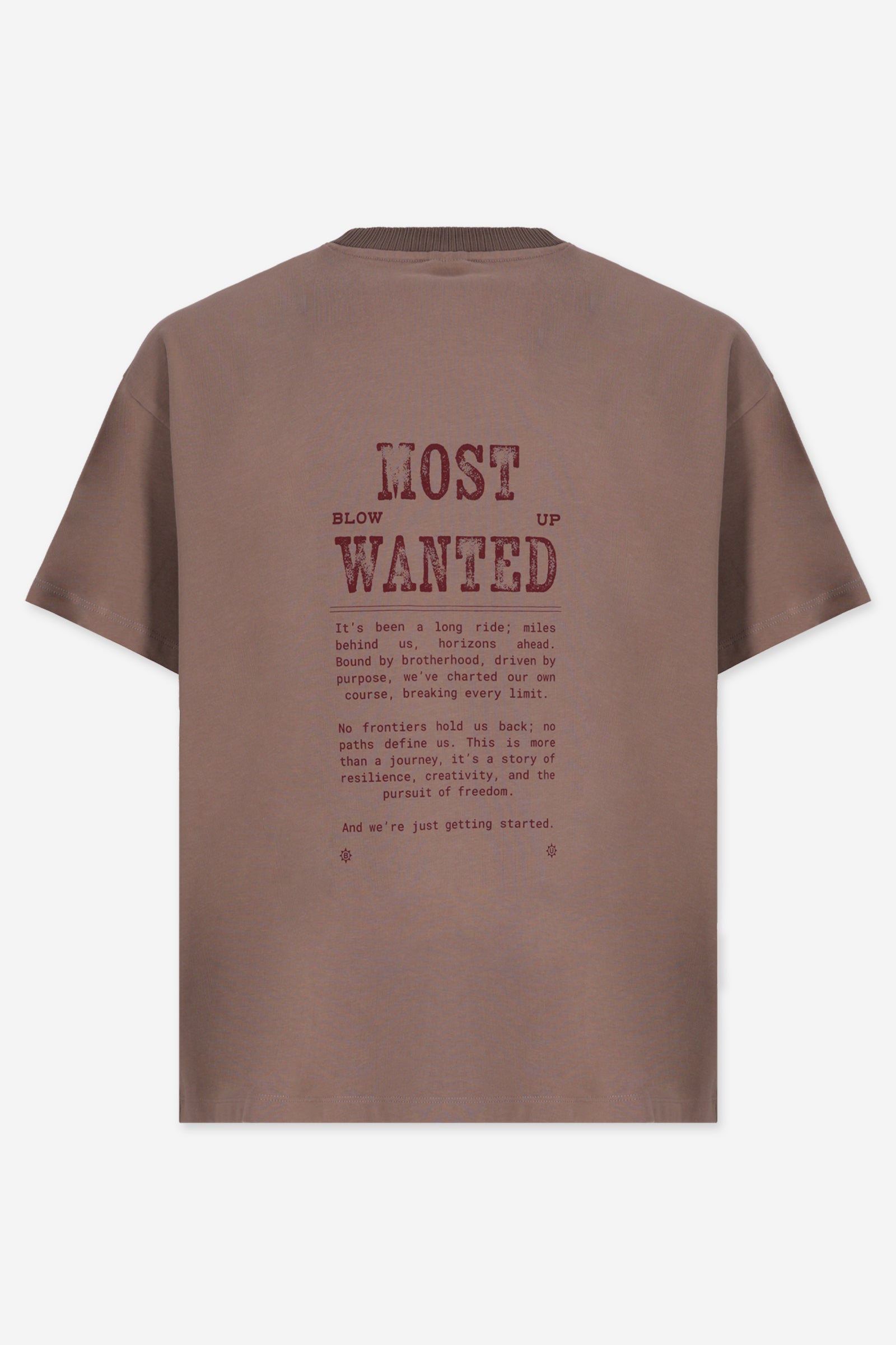 MOST WANTED REGULAR FIT CAMEL T-SHIRT